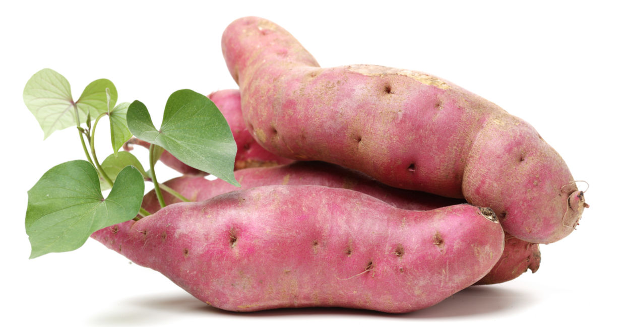 Sweet potatoes with leaves