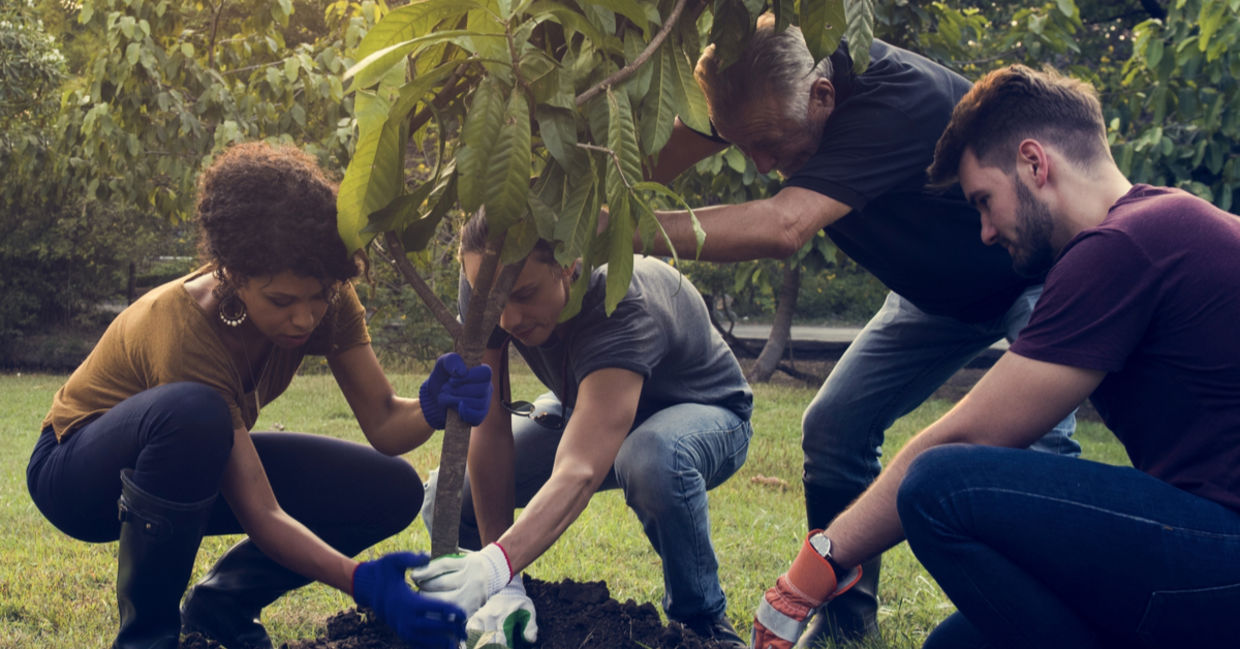Planting trees by using Ecosia.
