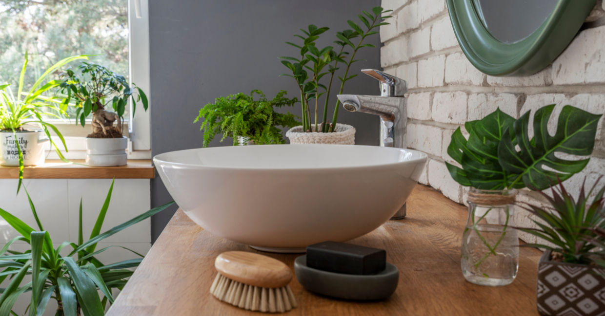 Bathroom filled with plants