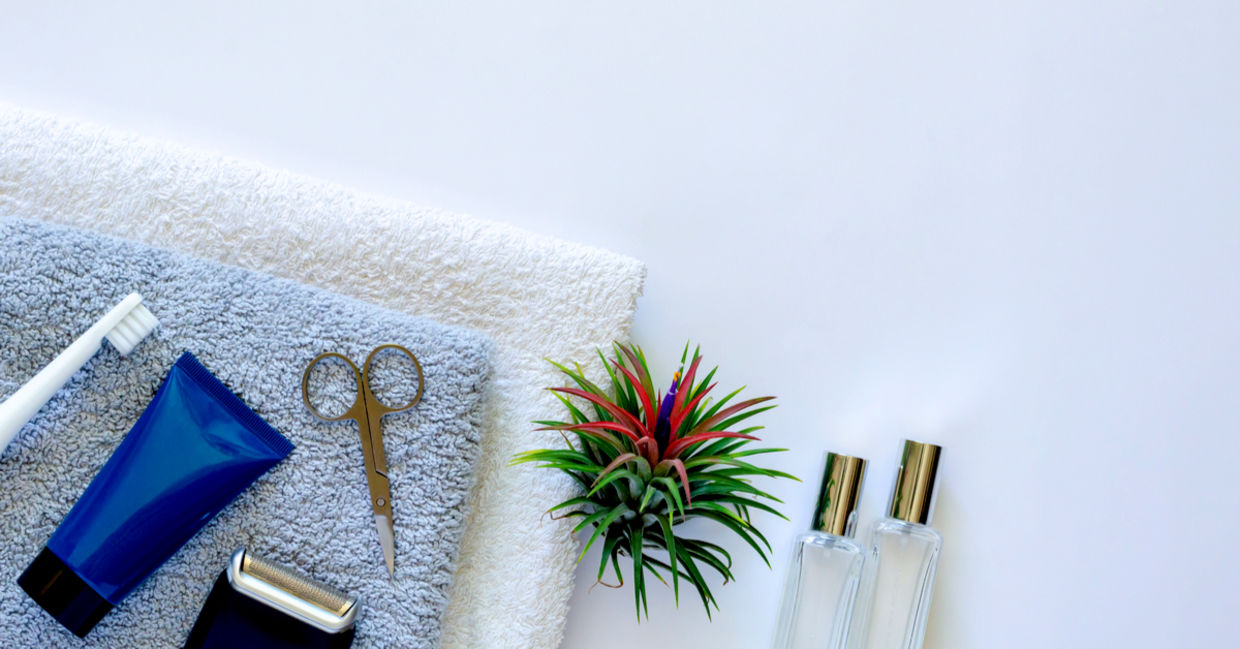 Air plant in bathroom