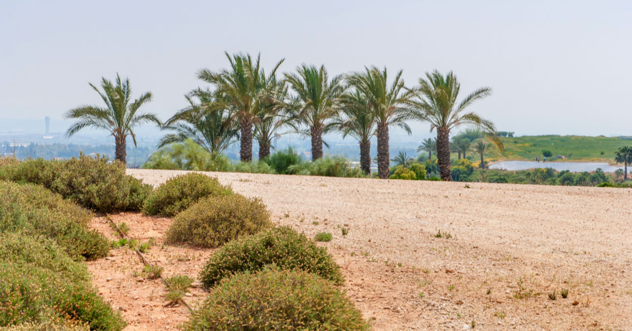 Hiriya park in Israel was a landfill.