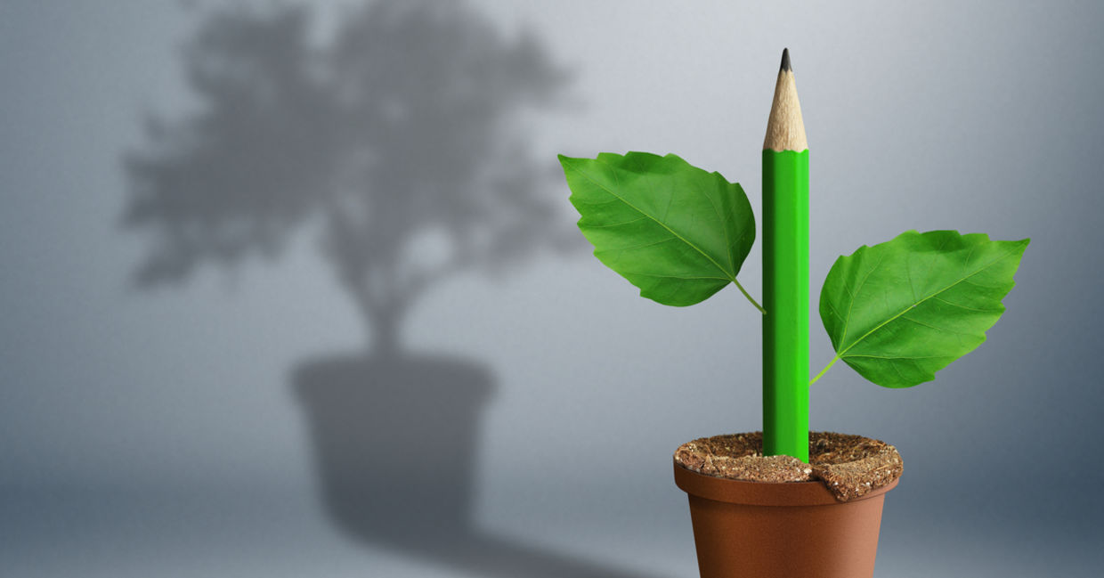 Planted pencil.