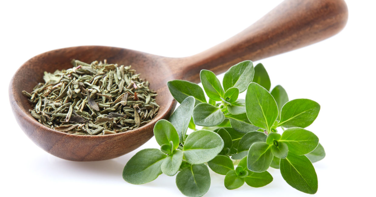 Sprigs of fresh thyme beside dried thyme.
