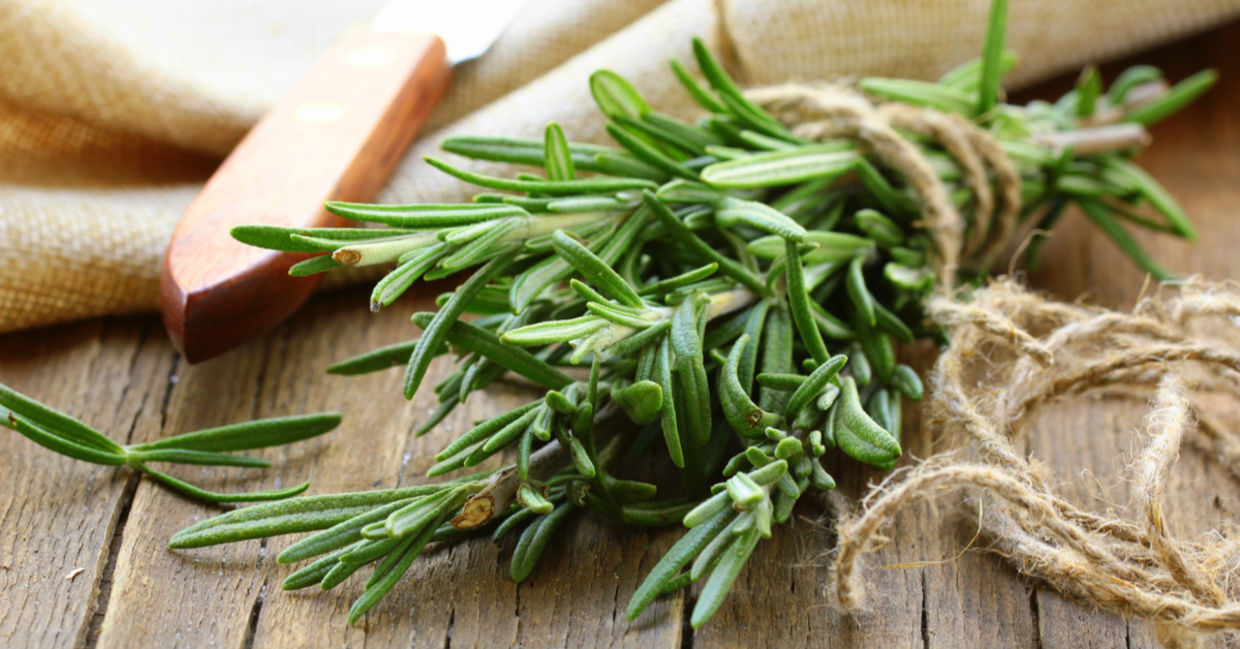 Fresh rosemary has many benefits.