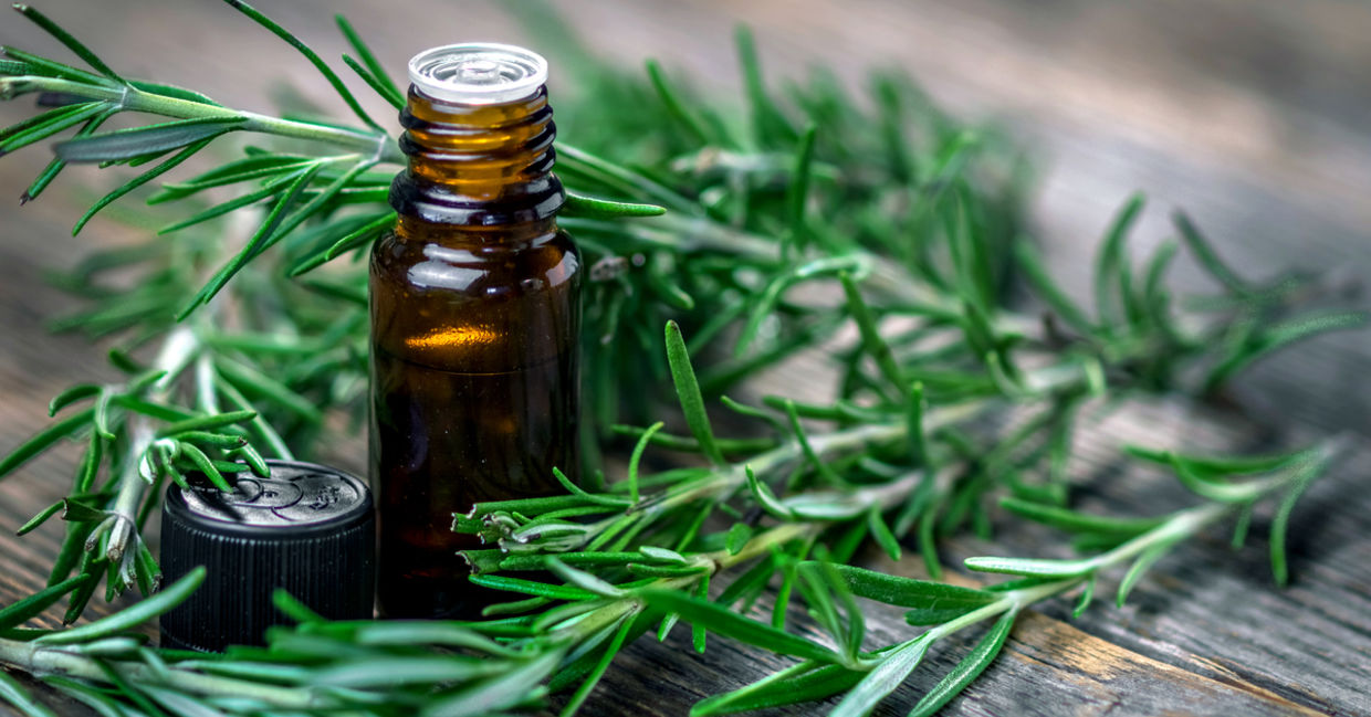 Rosemary essential oil.