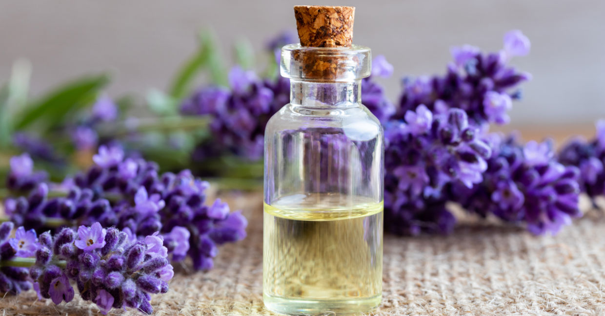 Make your home smell cleaner naturally.