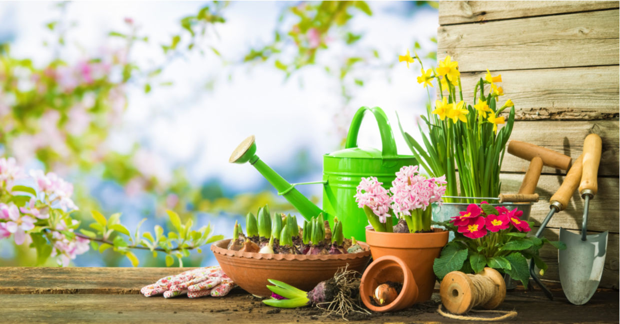 Gardening is a relaxing hobby.