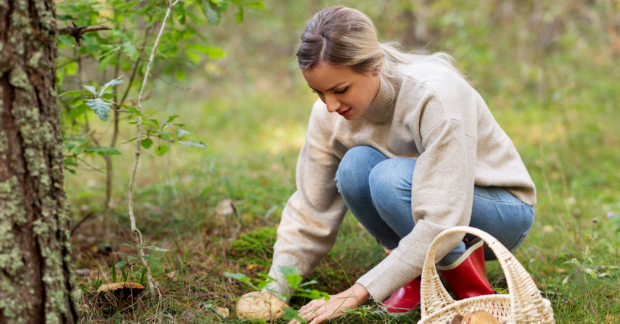 Woman foraging fall mushrooms.