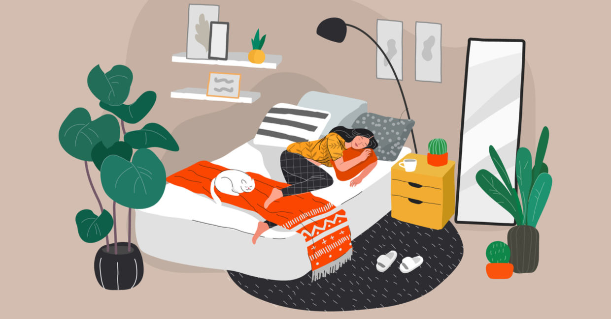 Ayurveda wellness routines from morning to bedtime.