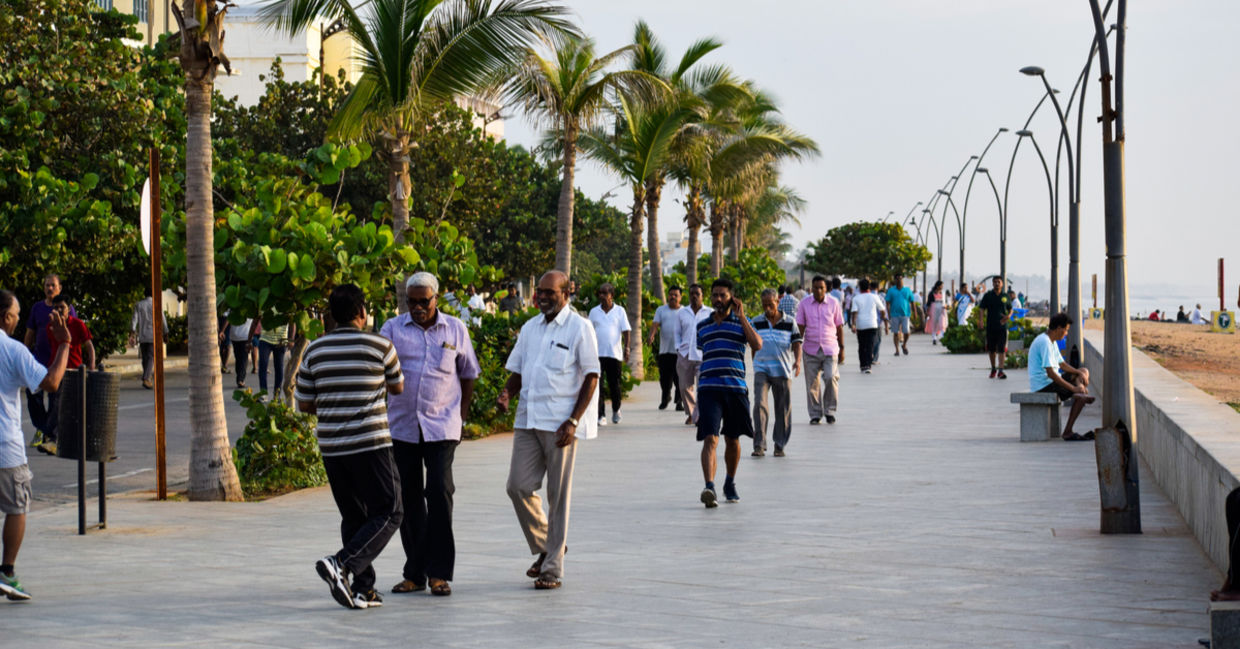 People walking on pathway surrounded by trees