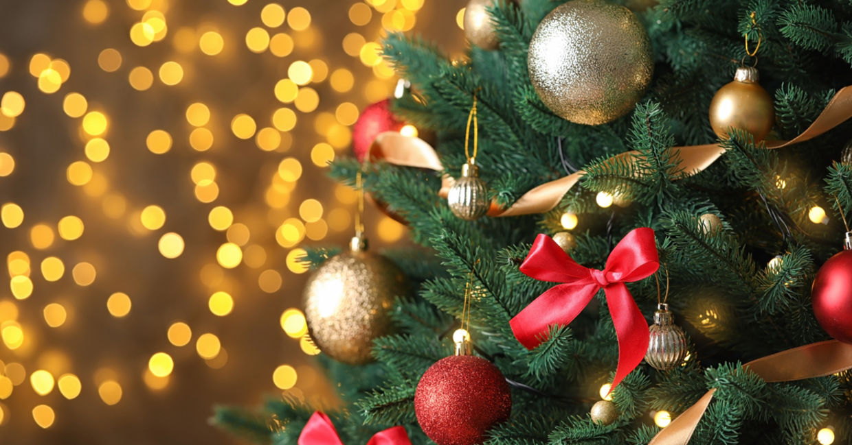 A decorated Christmas tree.