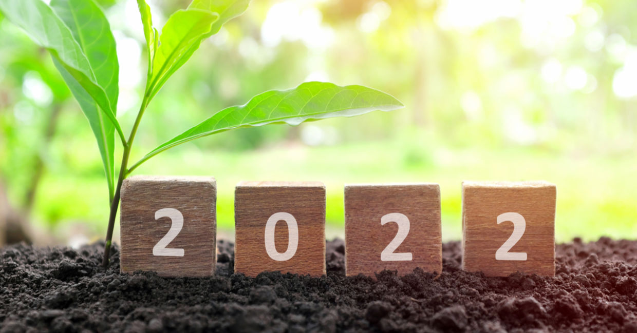 Make New year's resolutions for 2022.