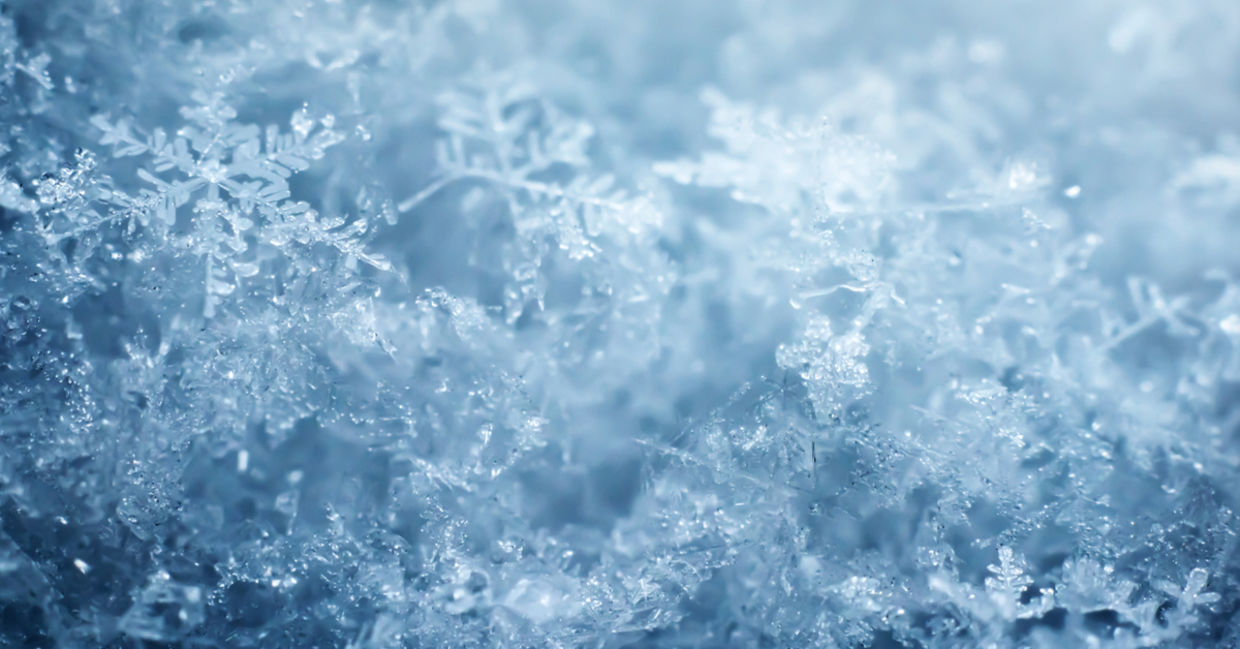 Snowflakes come in many sizes.