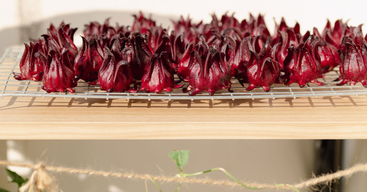 Sun dried fresh roselle (Hibiscus sabdariffa), food coloring and ingredient in beverages, Herbal medicine for reduction in blood pressure.