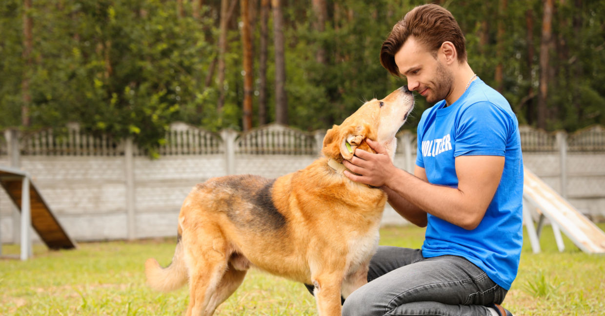 Volunteer at an animal rescue.