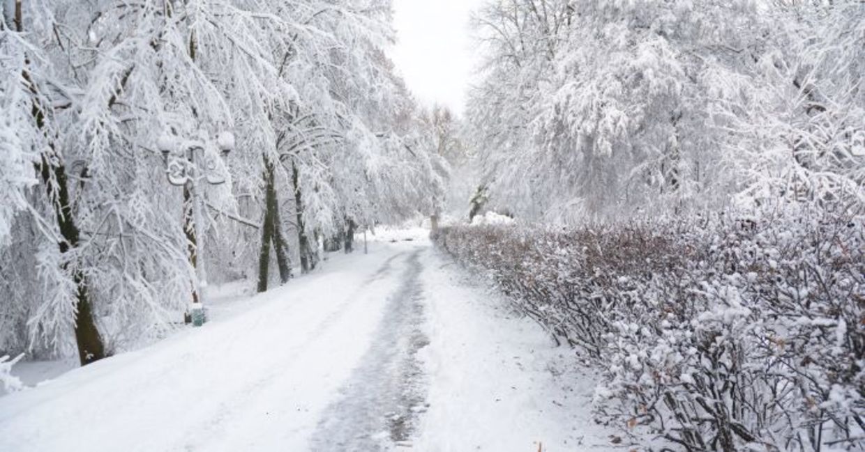 Snowy road in the winter.