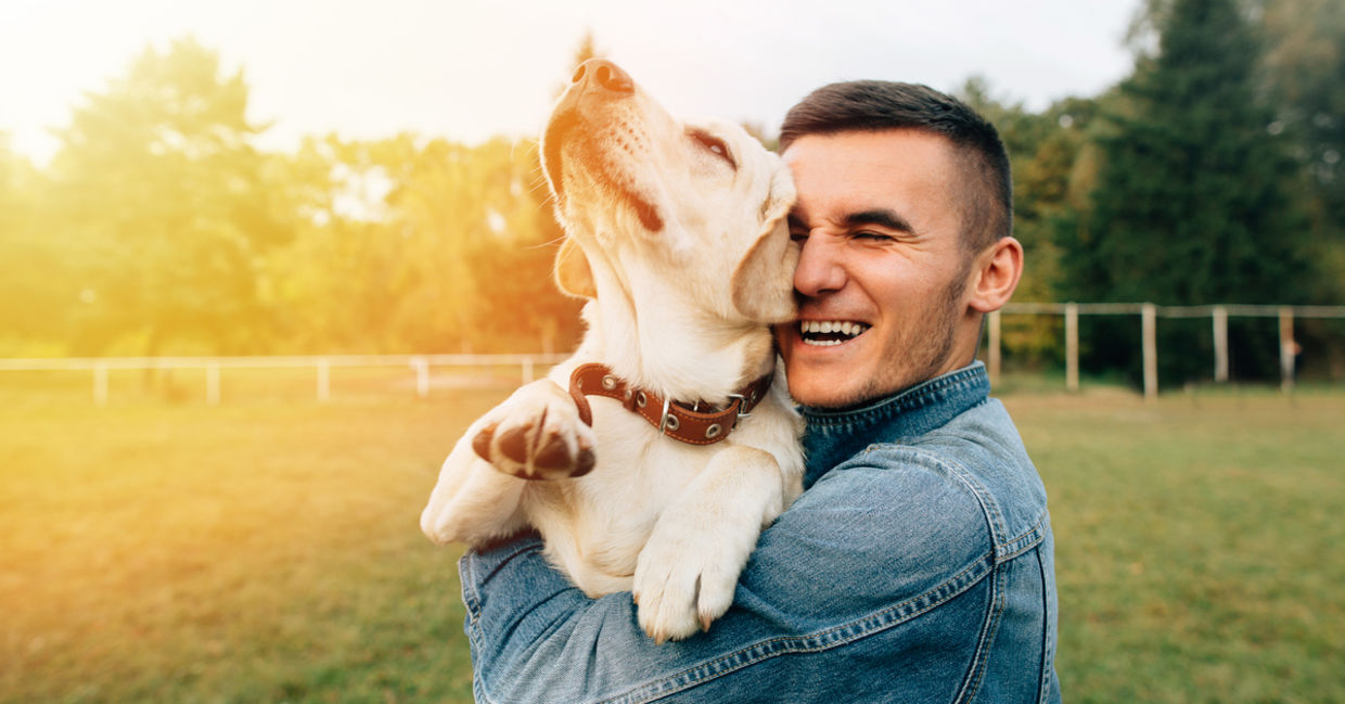 Petting a dog is calming.