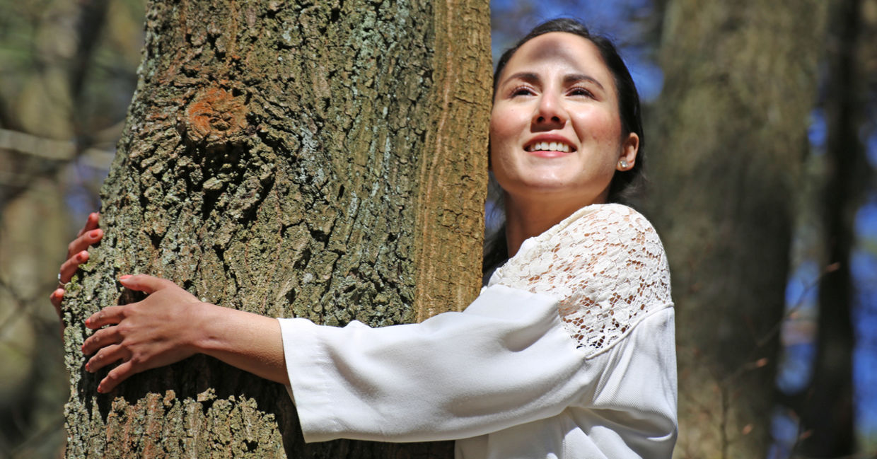 Forest bathing in Japan.