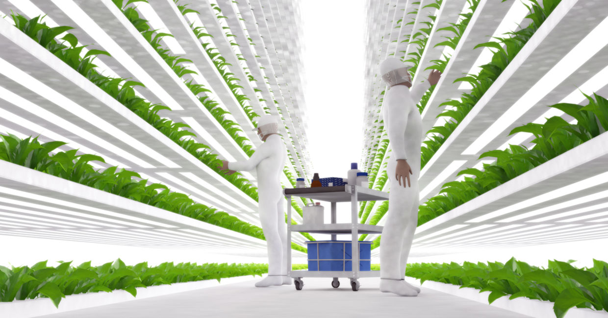 Illustration of a vertical farm.