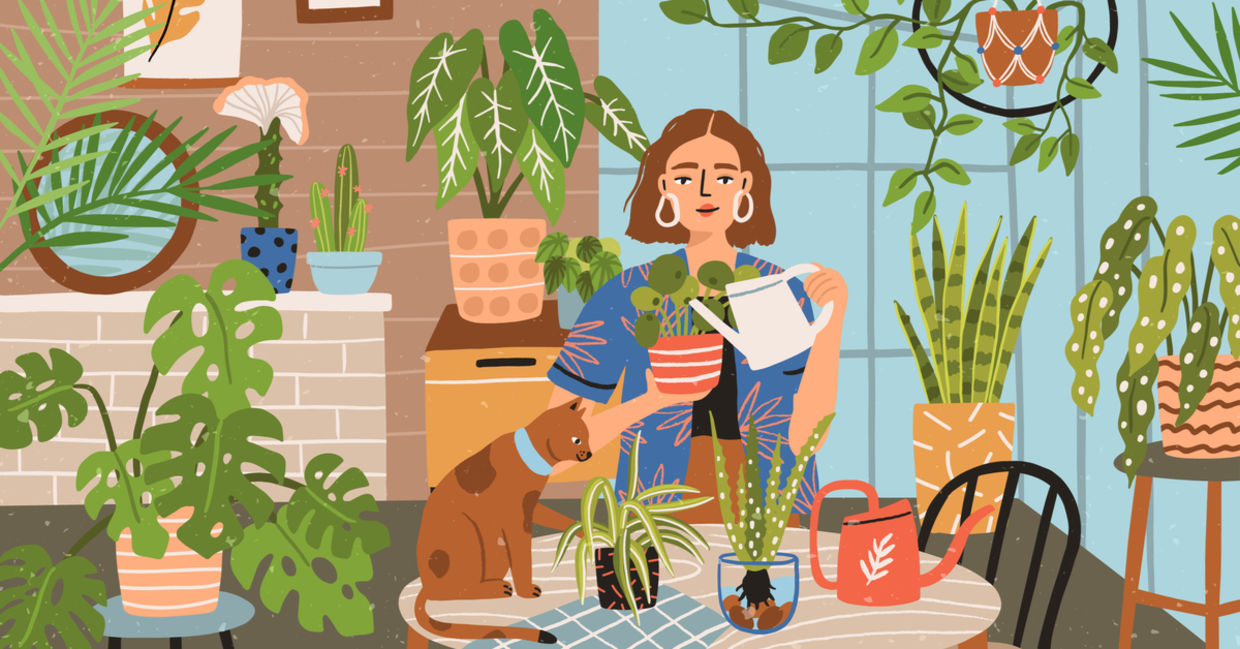 Taking care of houseplants by giving them names.