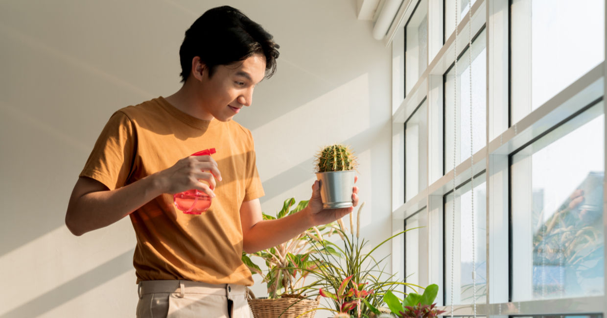 Be creative when you name your plant baby.