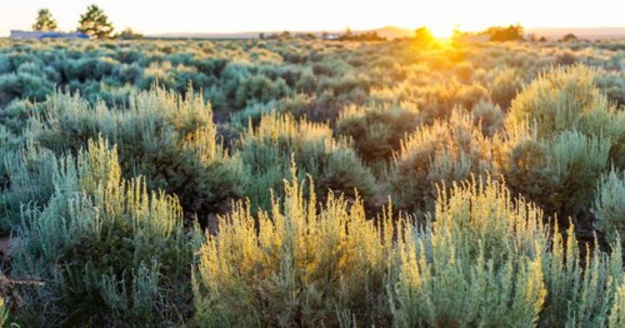 The sun sets near Taos, splashing light across desert sage brush.