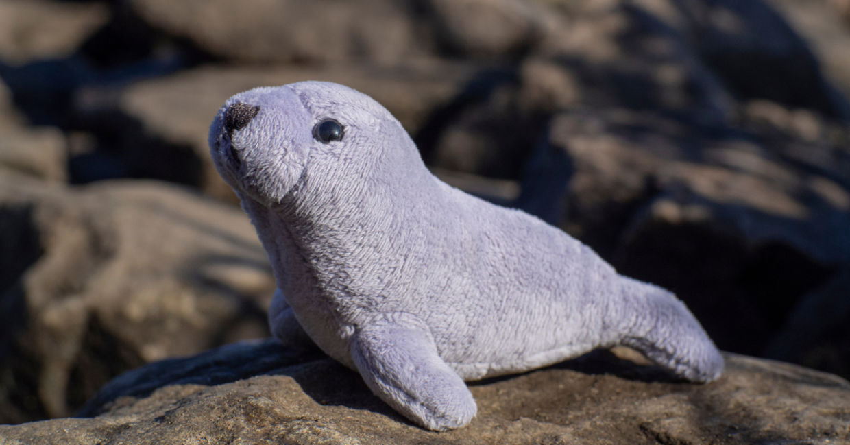 Furry stuffed aninal.