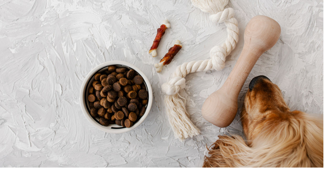 A dog lies beside his eco-friendly dog toys.