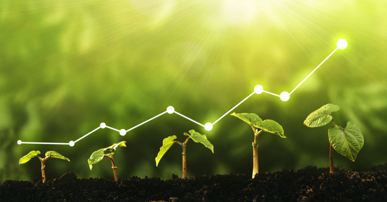 Business growth and success with a heart.