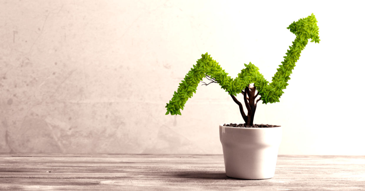 Small potted plant shaped like a rising indicator.