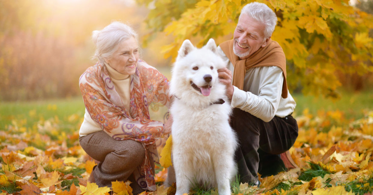 Pets make people less lonely.