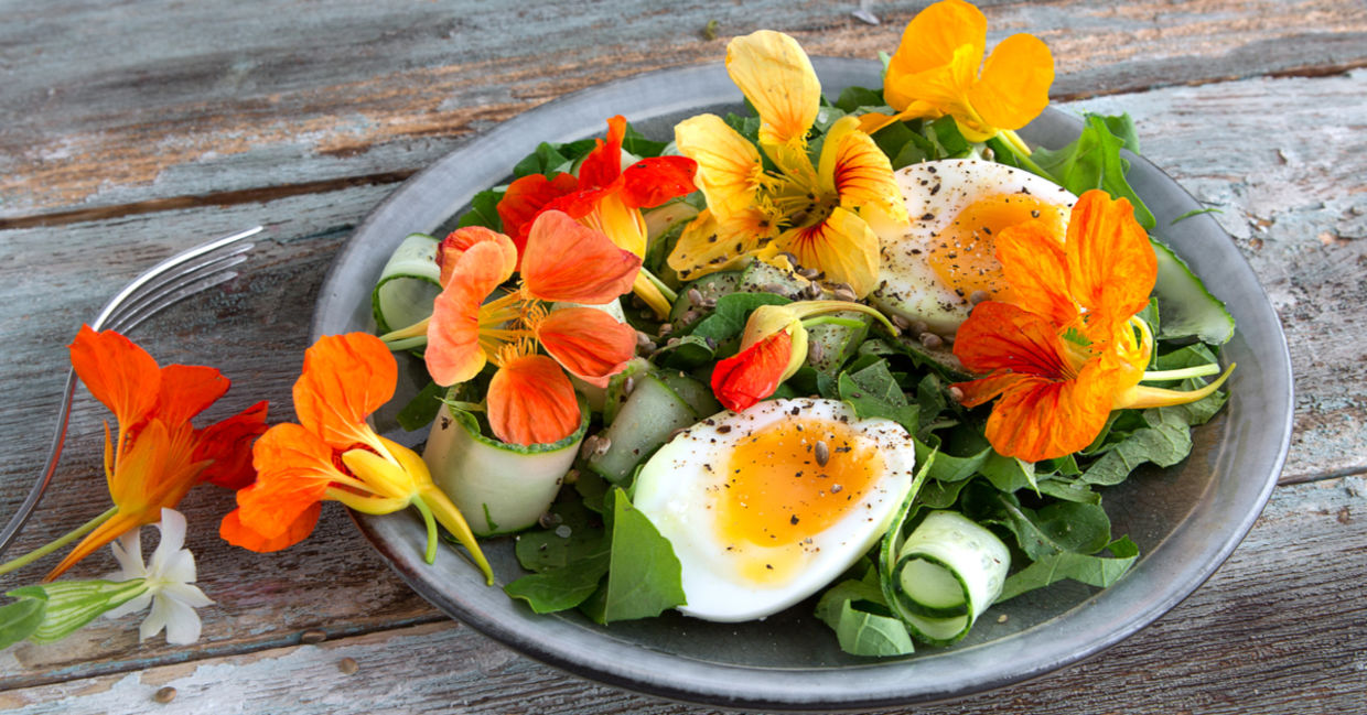 A plate of salad green from an edible lawn, including nasturtium flowers.