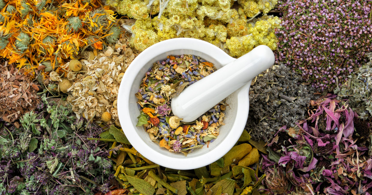 Use these herbs in natural healing.