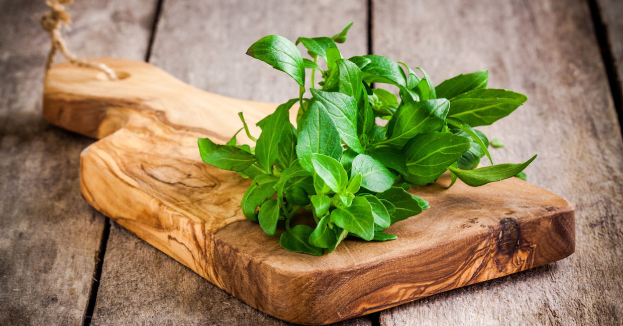 Basil has powerful antioxidants.
