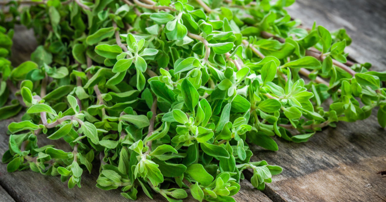 Marjoram may balance mood and anxiety.