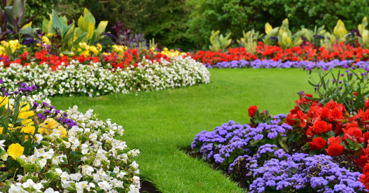 Beautiful weed-free yard.