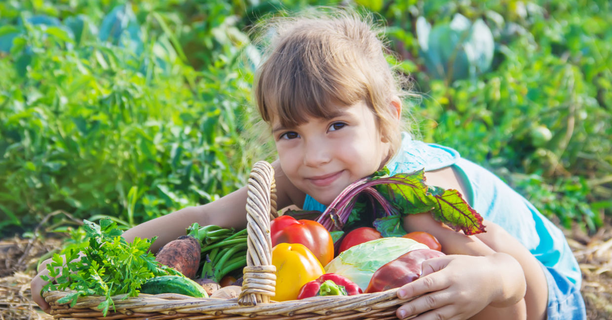 A bounty of vegetables