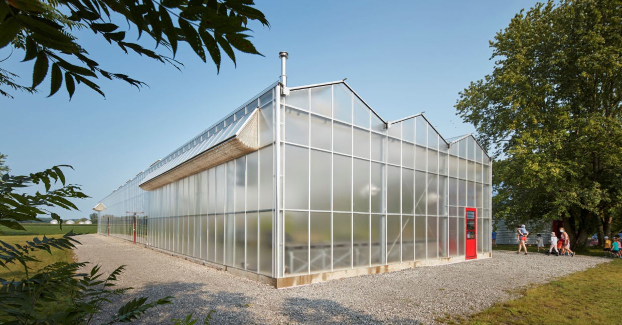 Enjoy seeing your food grow while you eat.