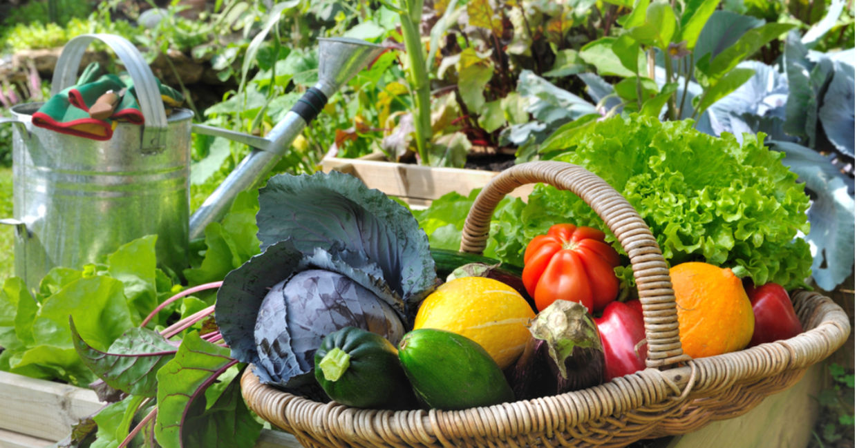 Even a small garden can give you fresh produce all summer long.
