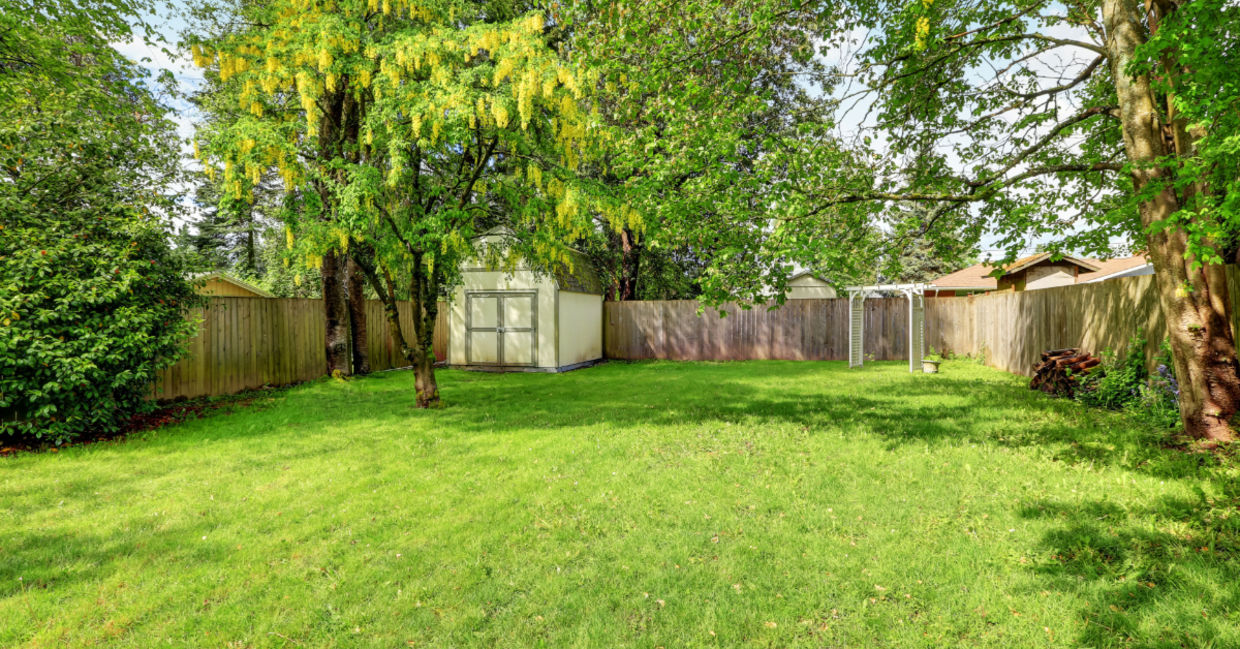 Decide where you want to plant your garden.