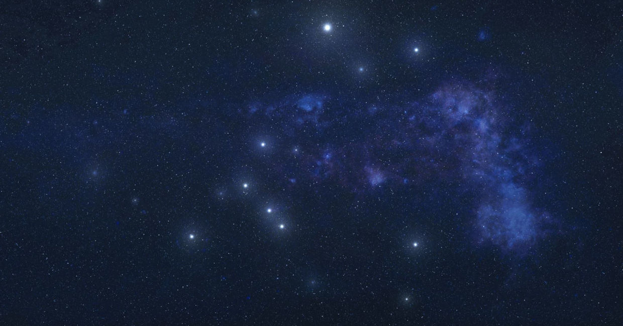 The Great Dog constellation is seen in the summer sky.