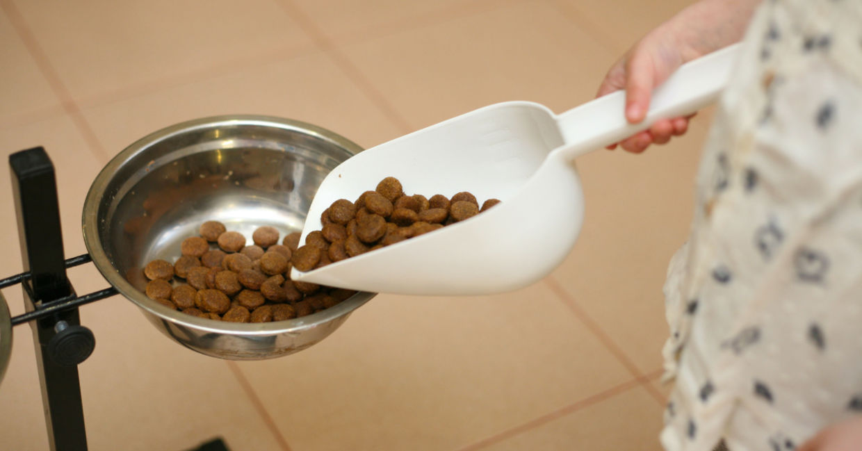 Children become more confident if they take care of their pets.