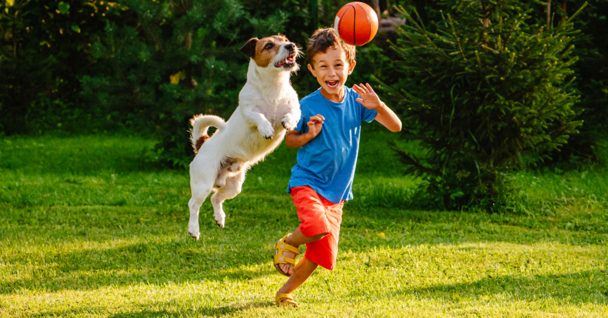 Boy is actively playing with his pet..