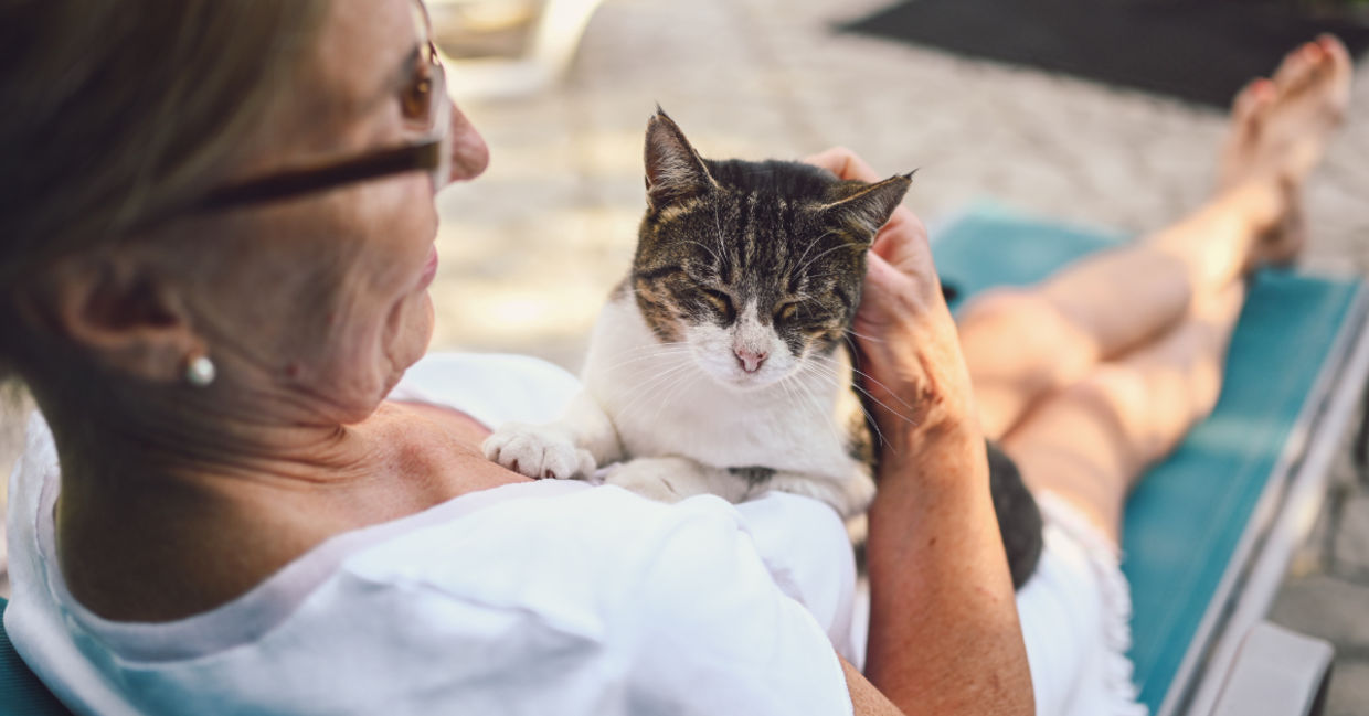 Happy senior woman in glasses relaxing with her tabby cat.