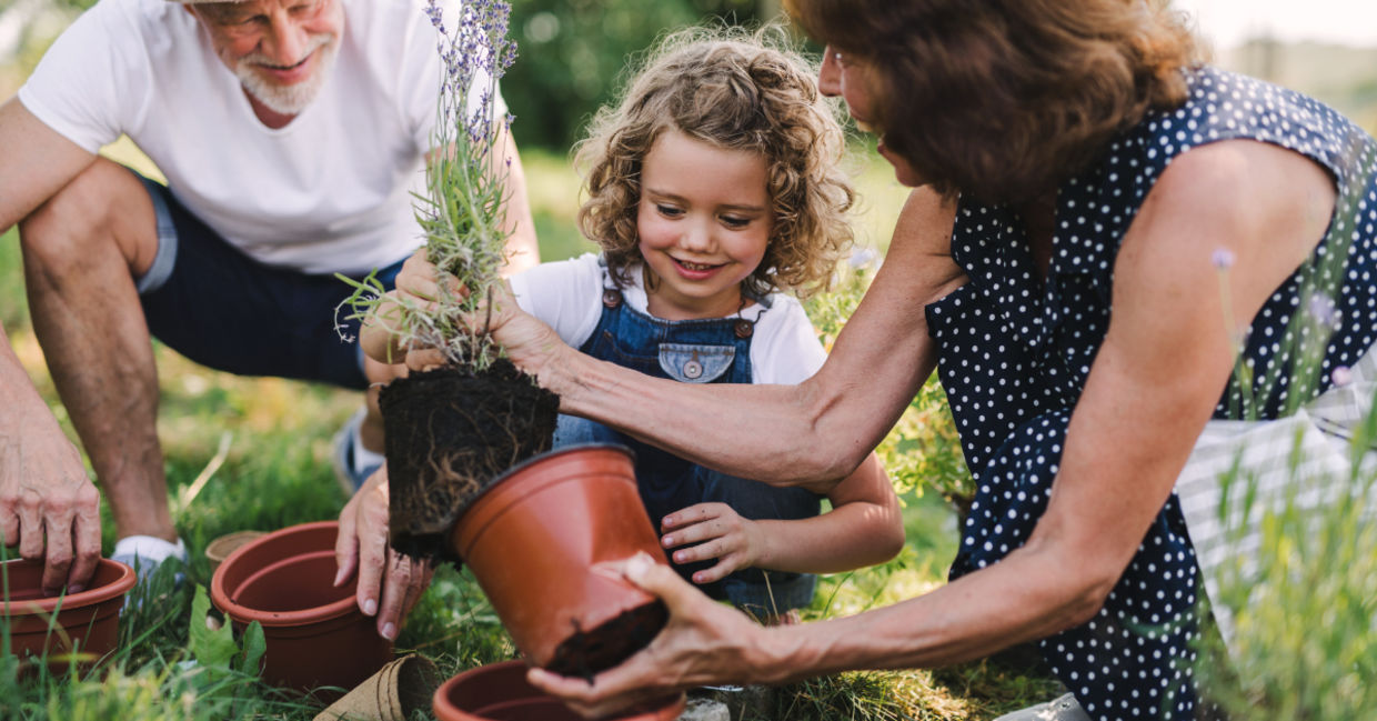 Happy kid and her grandparents working in the garden.