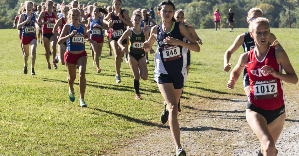 Getting ft with cross country.