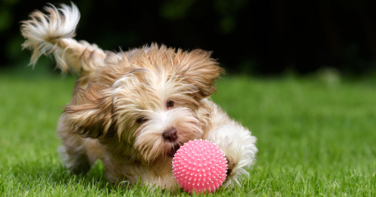 Take time to have fun and enjoy life.