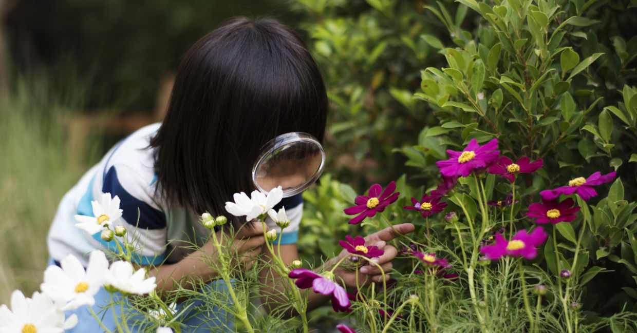 Experience wonder with a child.