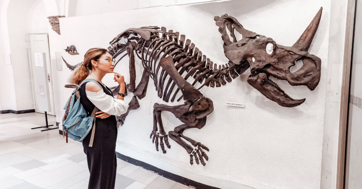 Looking at a dinosaur in a museum.