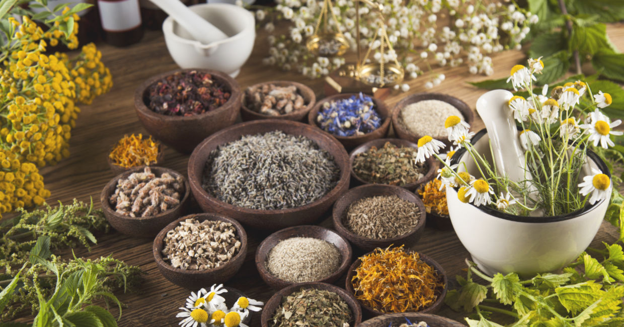 Medicinal herbs that can boost your mood